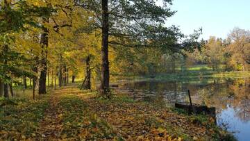 Фото номера Семейный номер Проживание в семье Sarna Karkonosze г. Bukowiec 15