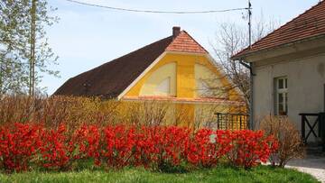 Фото Проживание в семье Apartamenty Ornamental Farm Bukowiec г. Bukowiec 2